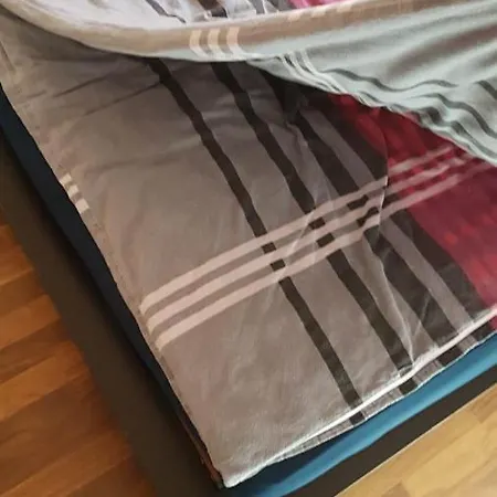 Schone 2 Zimmerwohnung Appartement Zwickau